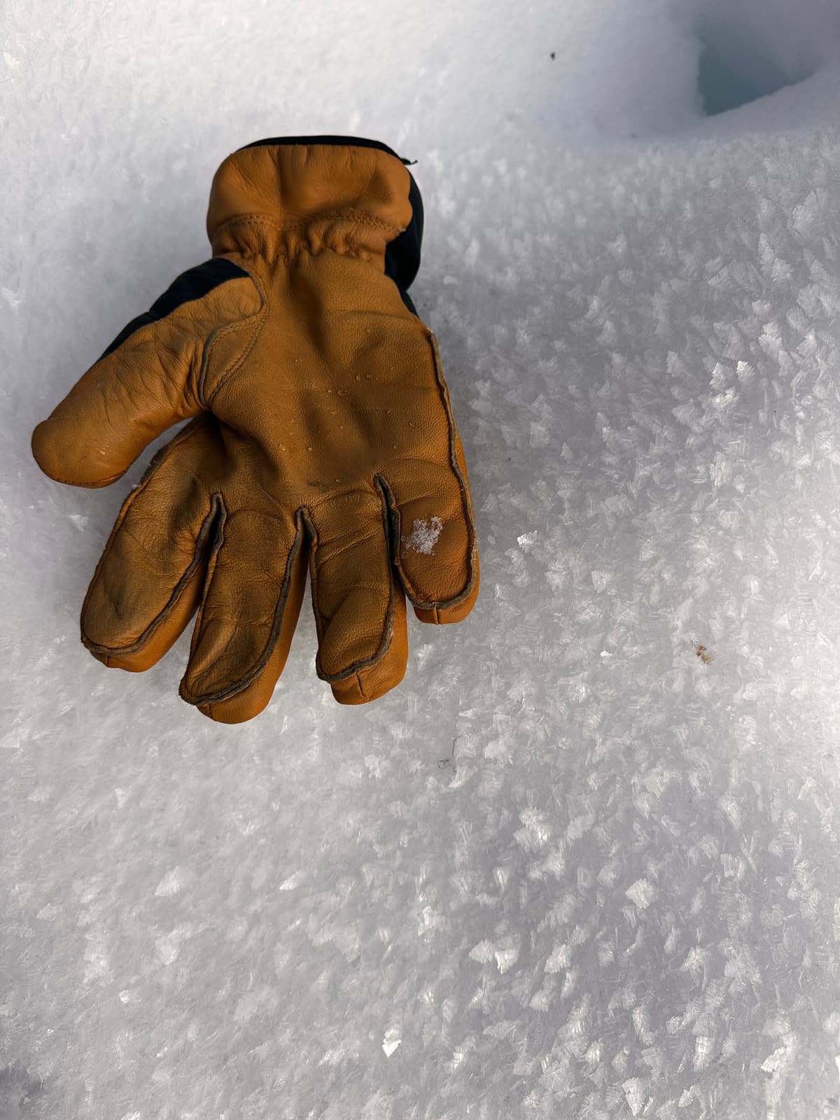 There’s a fresh batch of surface hoar growing at all aspects and elevations in the clear, calm weather. In the cutblocks around the cabin it is ip to 13 mm.