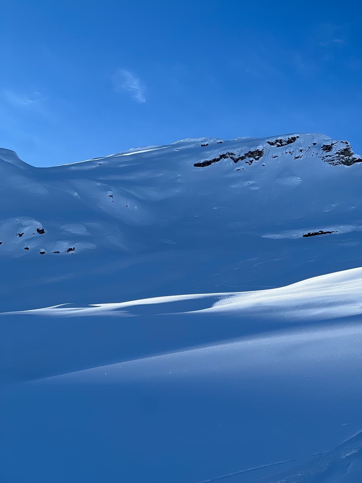 Minor evidence of old Windslabs in the Alpine