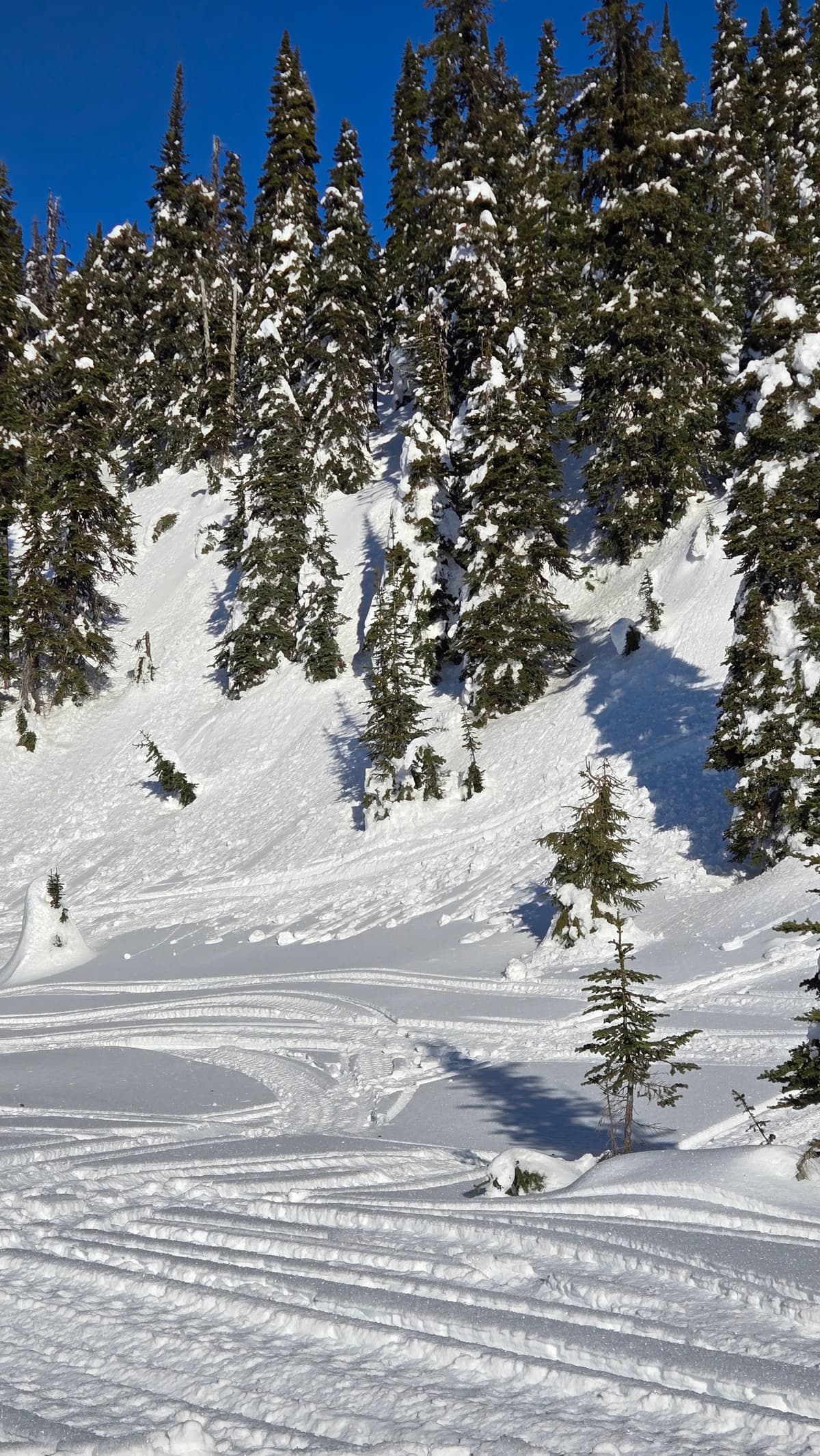 Snowballs from previous warm days