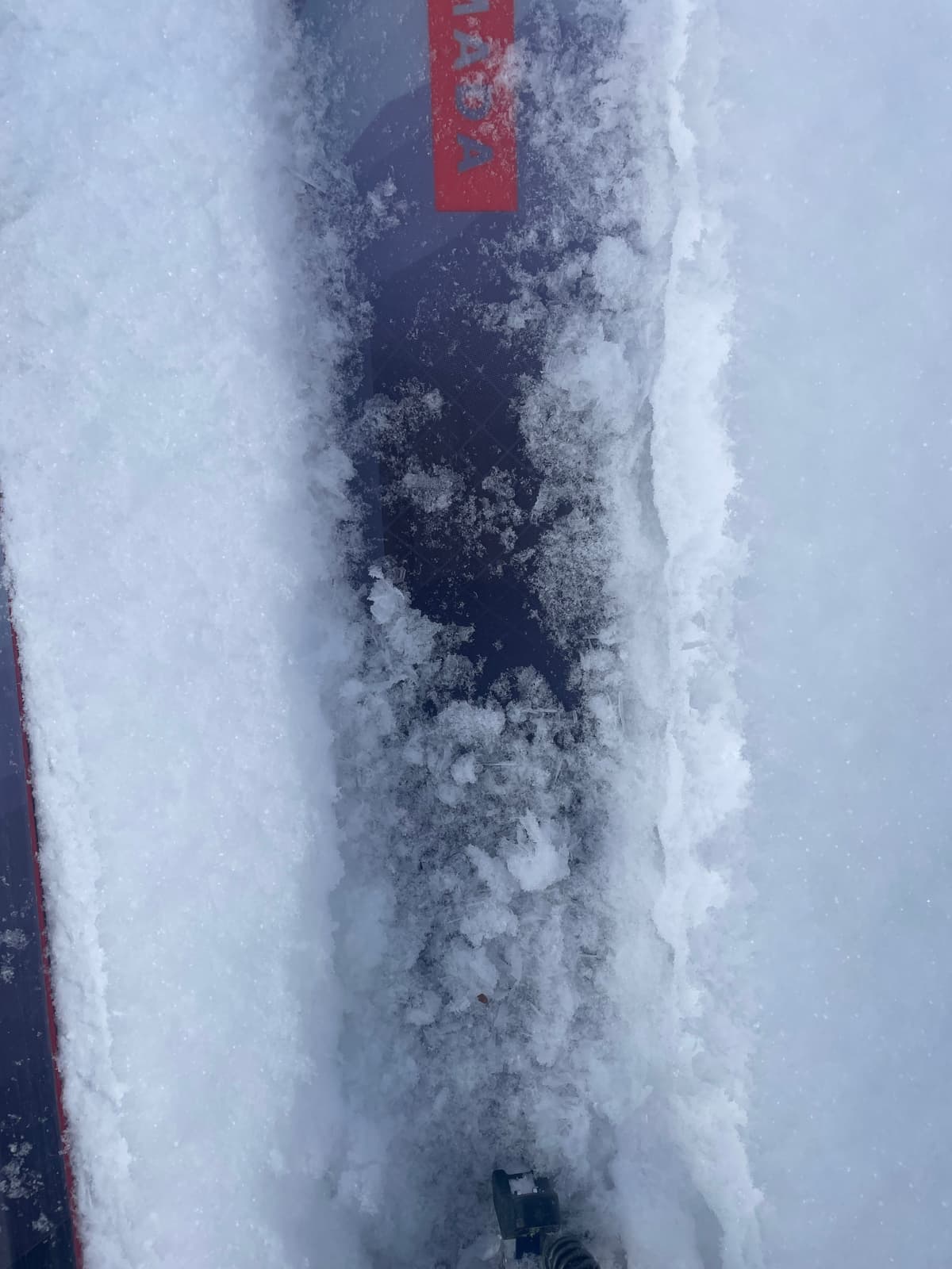 Massive surface hoar tipped over and laying down.