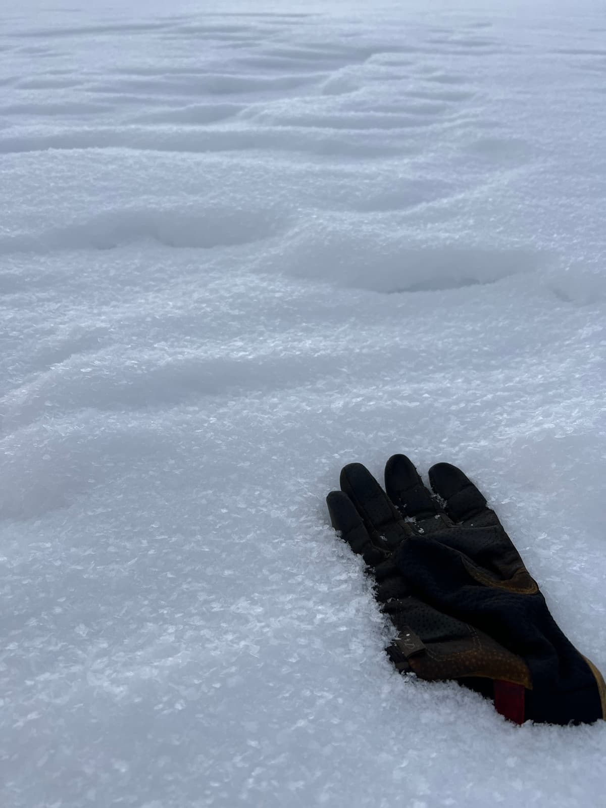 Large surface hoar on N aspect at 2300m