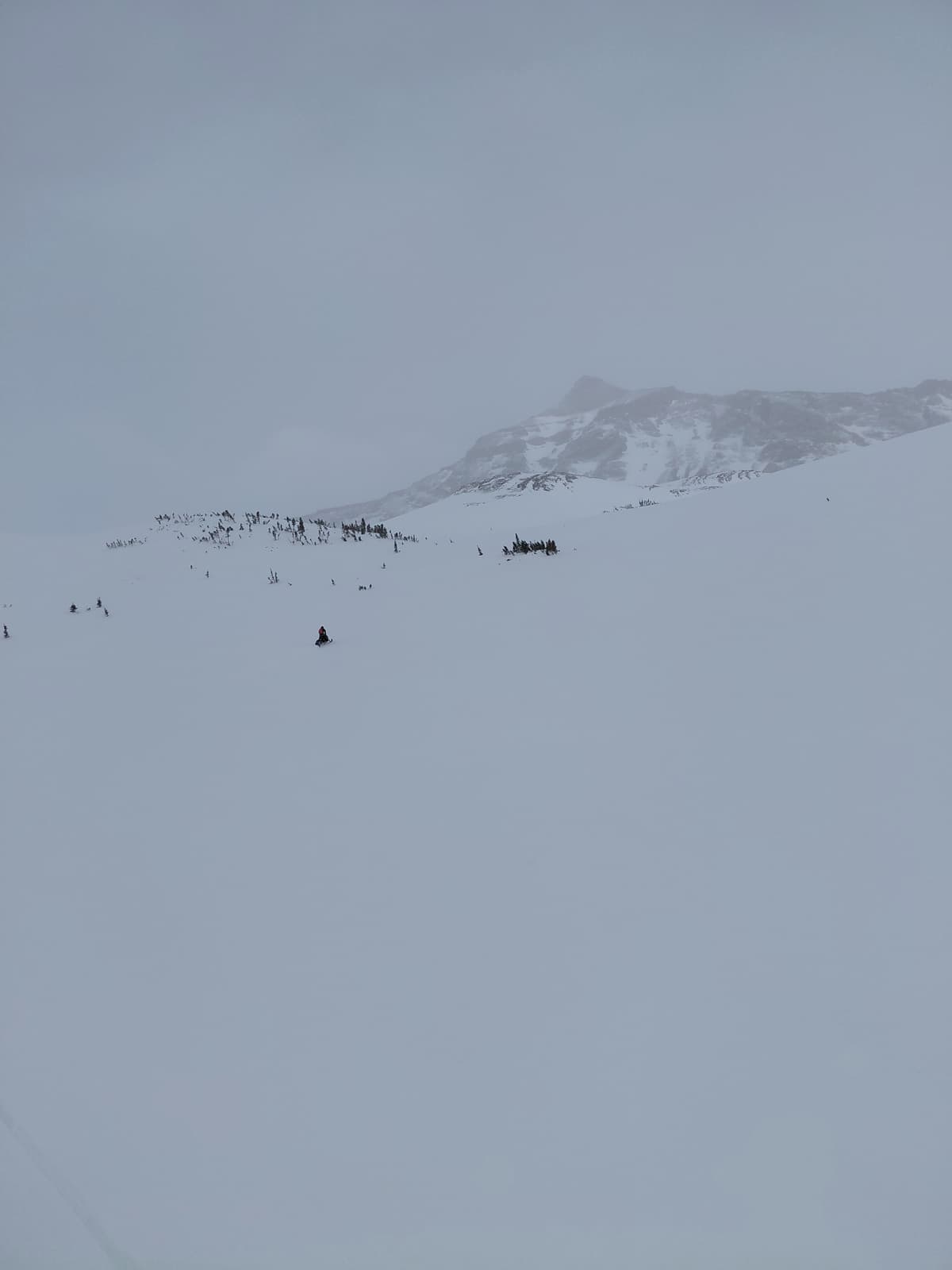 We traveled low vis alpine after verifying conditions