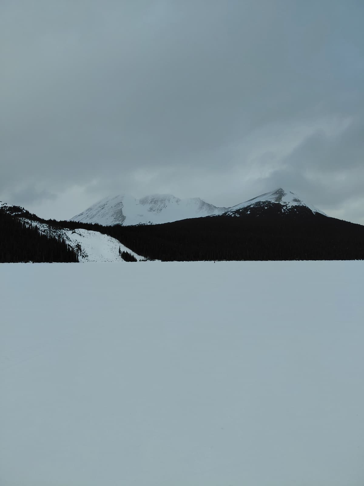 Windward (S to W ) Alpine is scoured