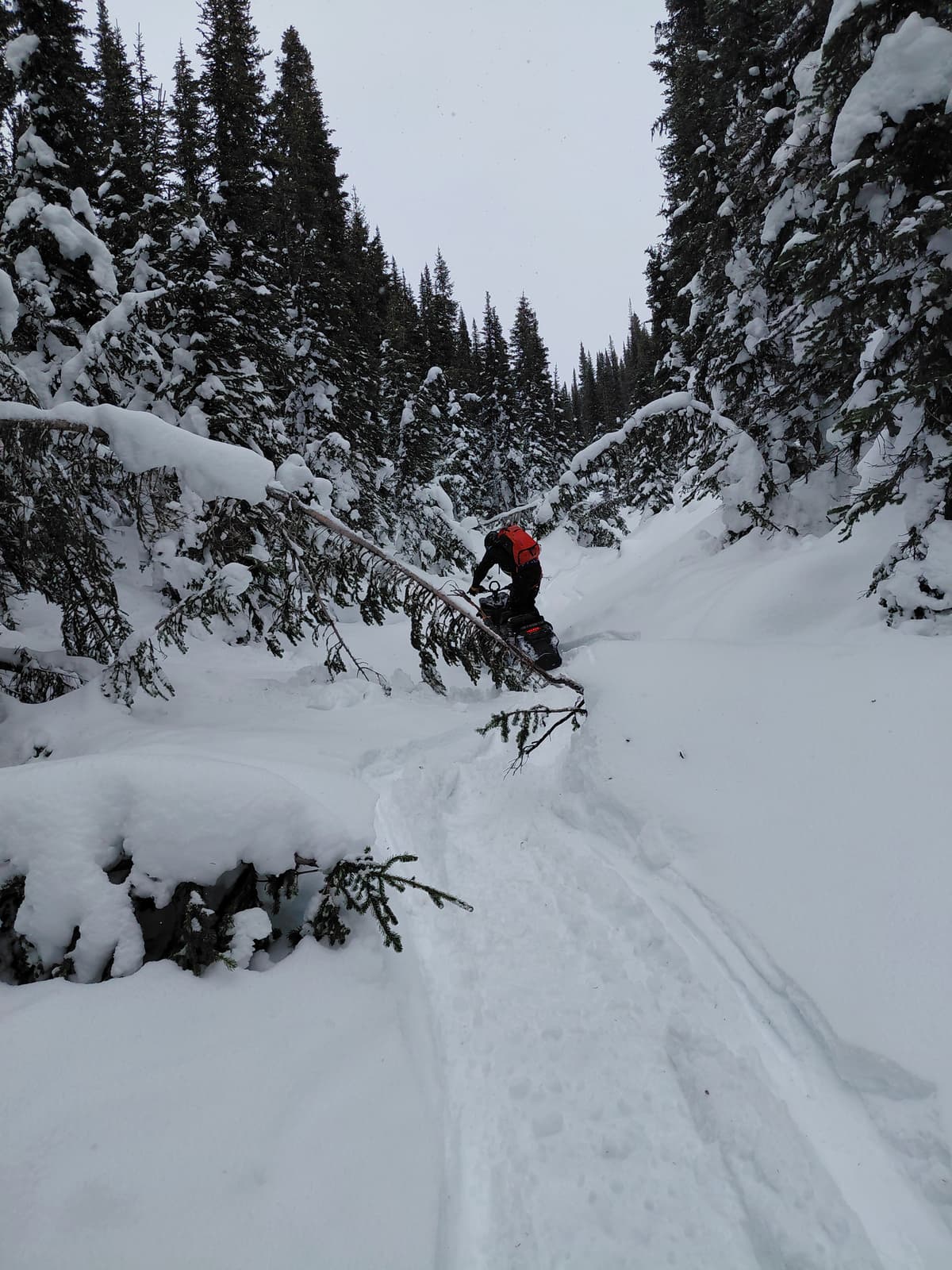 Firm snow let us go exploring