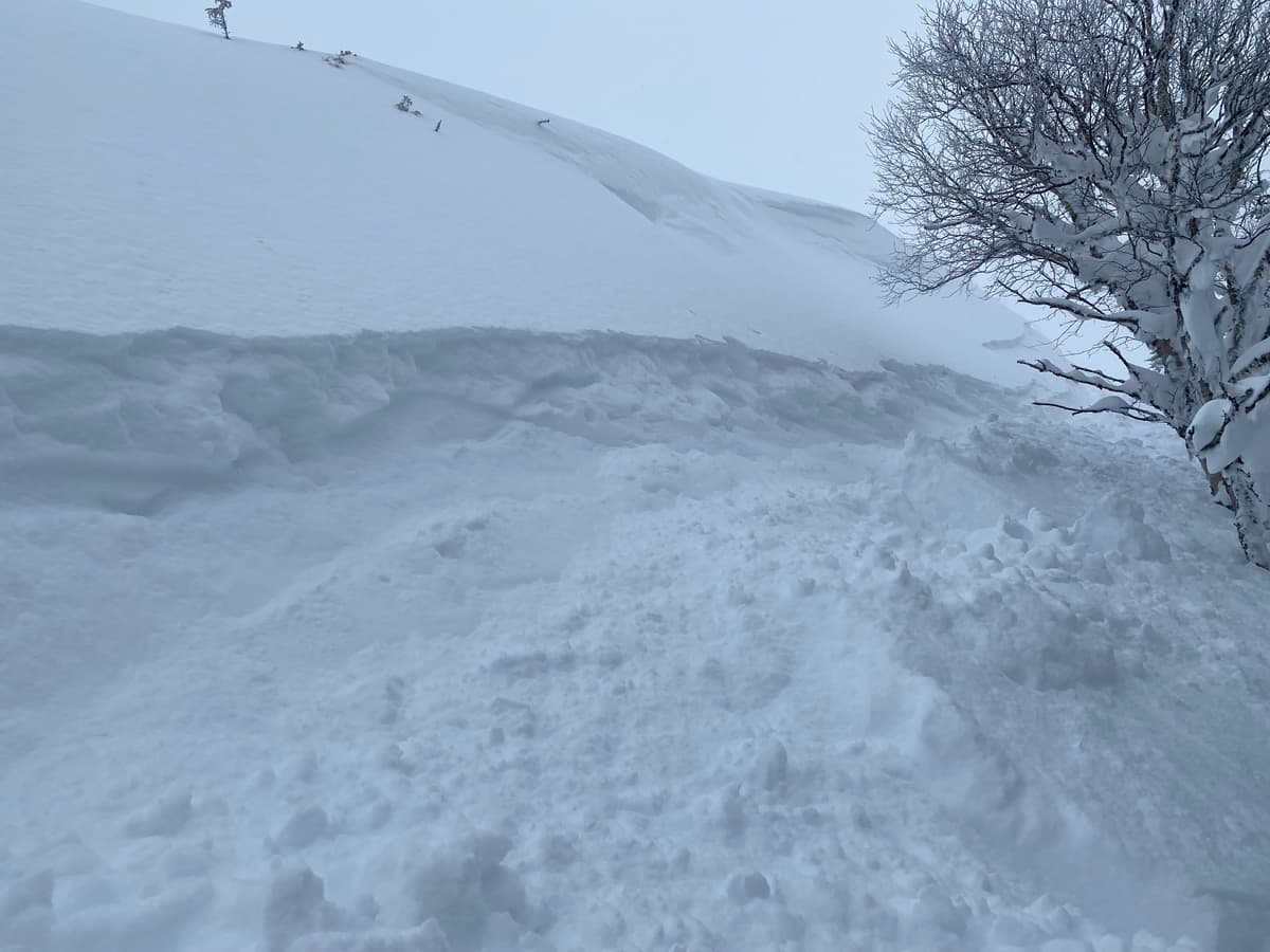 Skied over cornice at top of short slope (low consequence), not in picture. Then did a ski cut and booted it for the trees as the slope a foot or two above me gave way resulting in a damp stuff (no propagation). Picture is of where I stopped in trees