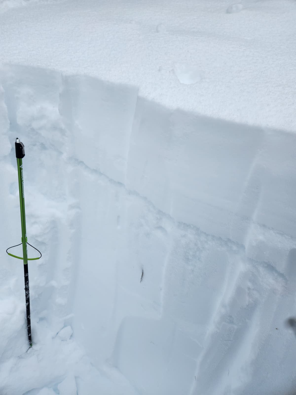 The surface hoar layer is extremely noticeable