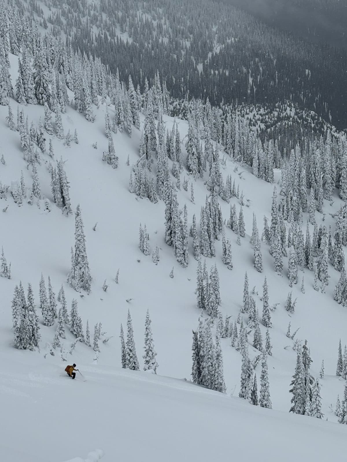 Upper slopes of "Toilet Bowl"