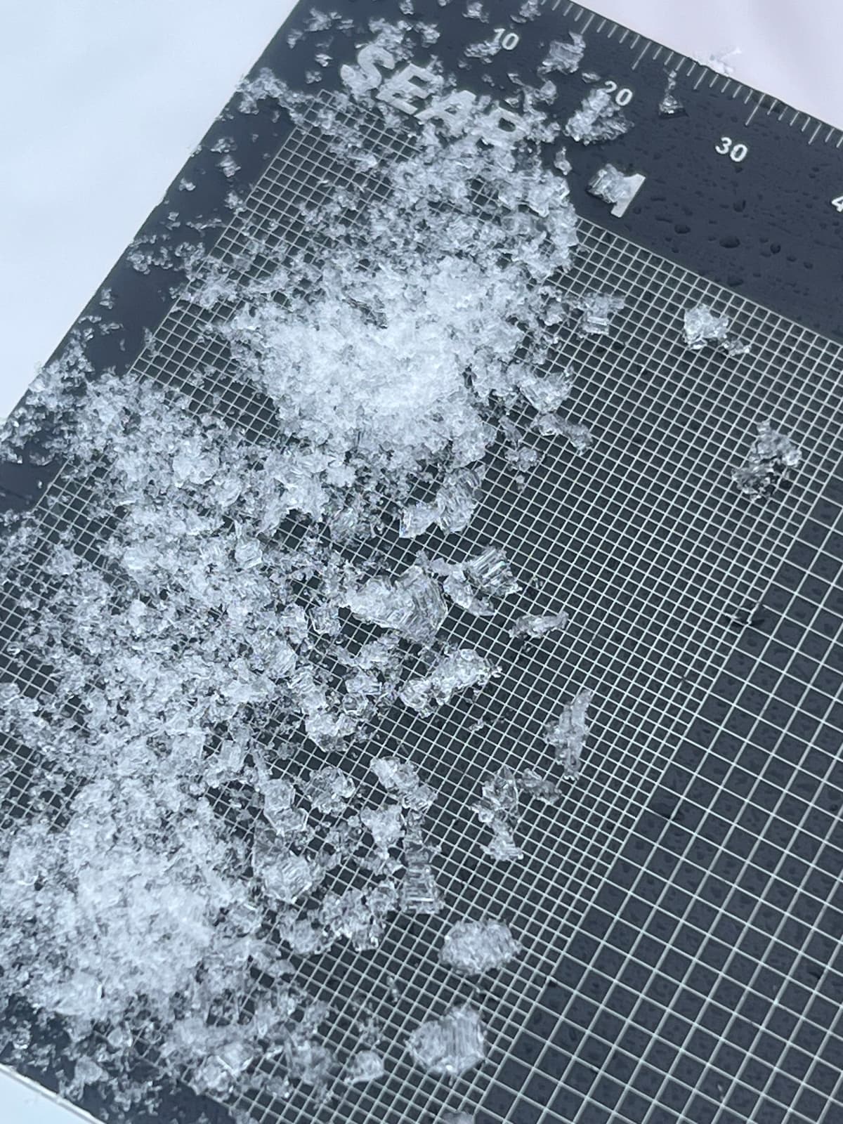 Facets, surface hoar and melt-freeze forms.