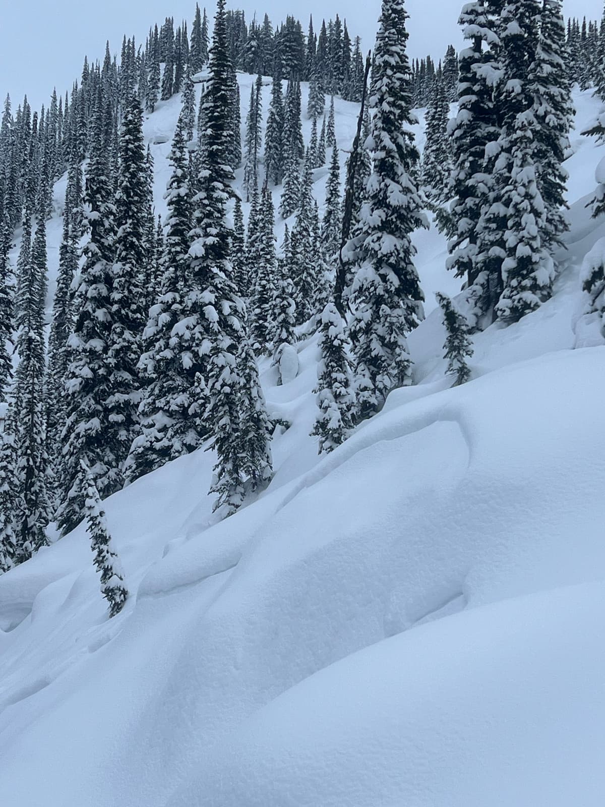 Natural avalanches that occurred during the storm last weekend.