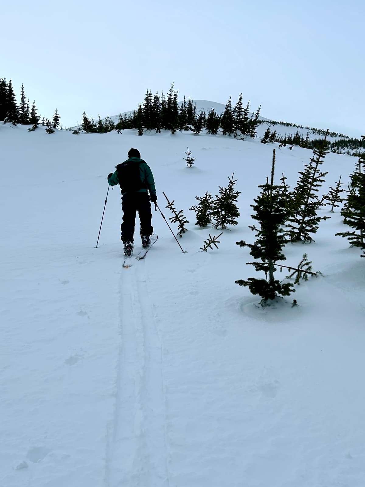 New snow on a solid crust