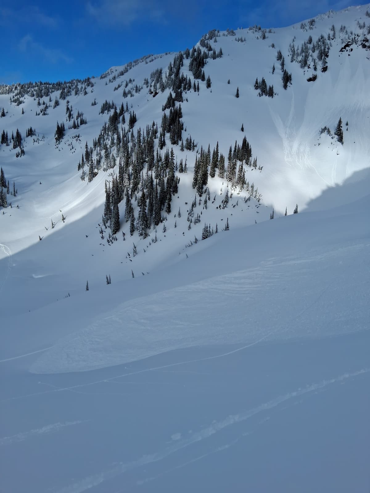Pinwheel on south slope forming by themselves