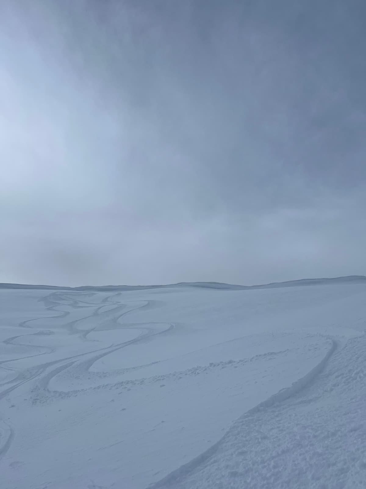 Good turns in the alpine