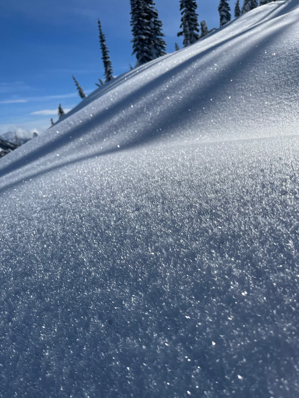 Surface hoar on north facing slopes. Not so much on sunnier slopes