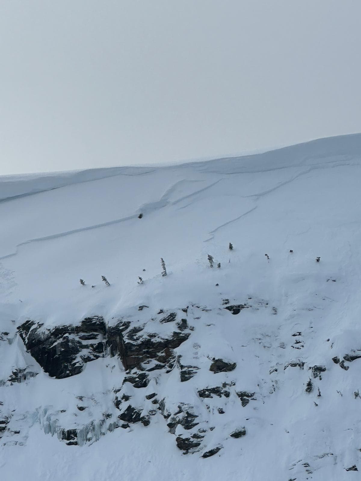 Recent wind slabs in Pine Bowl