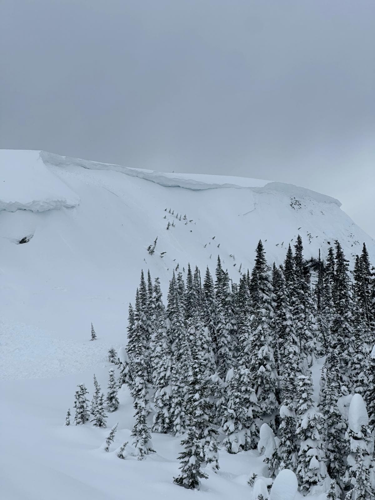 Cornices and loaded north facing Alpine