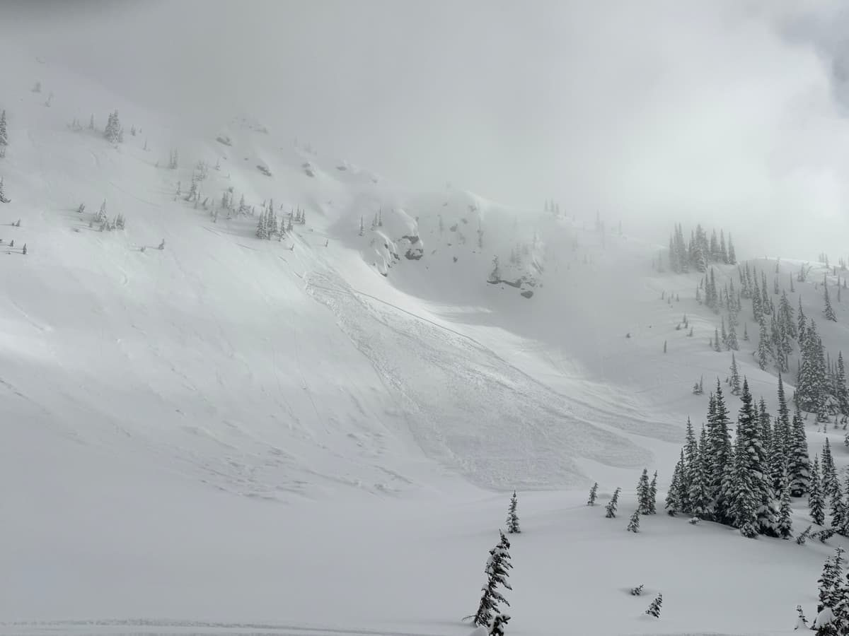 Size ~1.5 avalanche in mid portion of kokanee bowl (W/NW aspects)