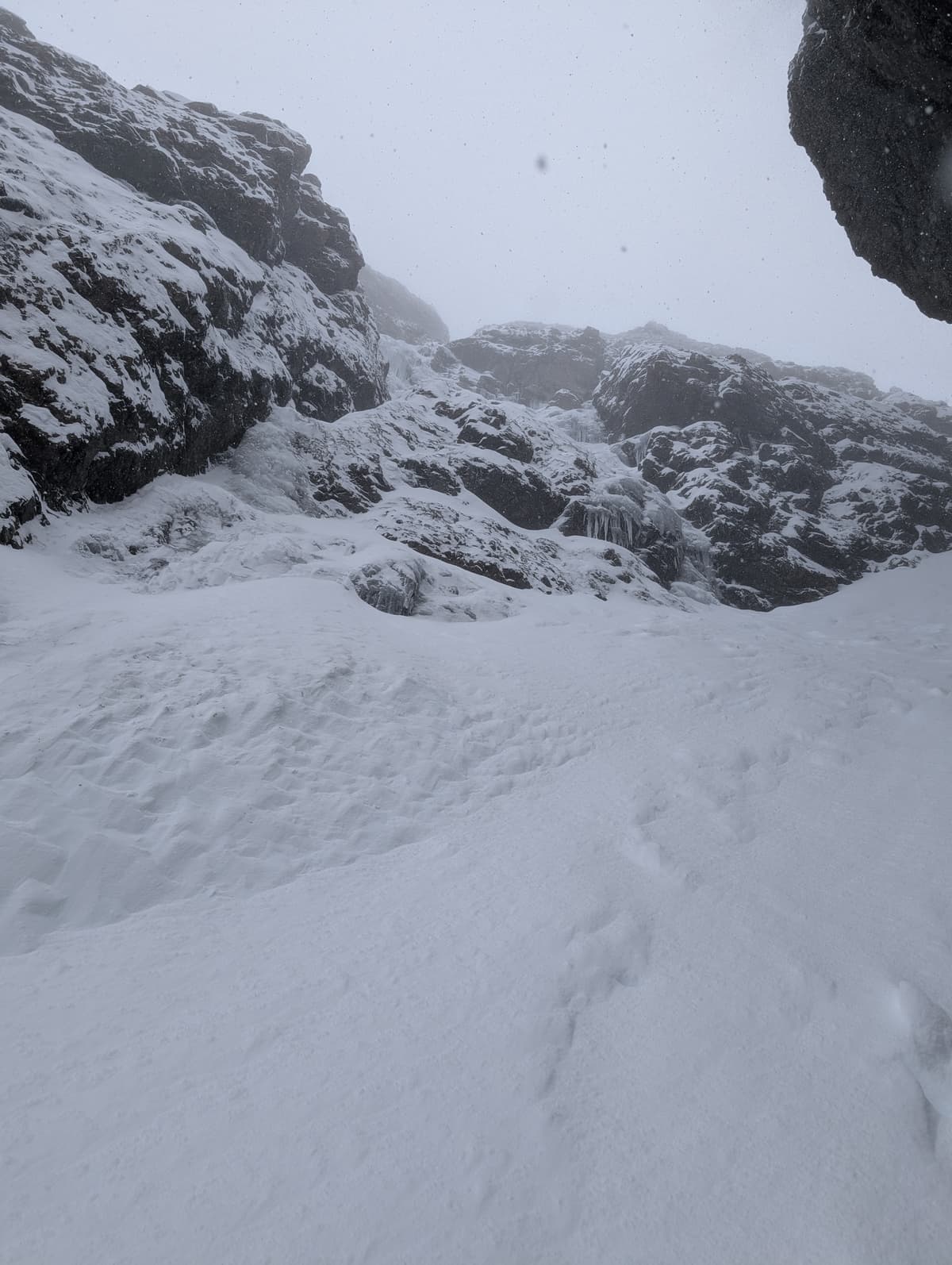 Bottom of N-F