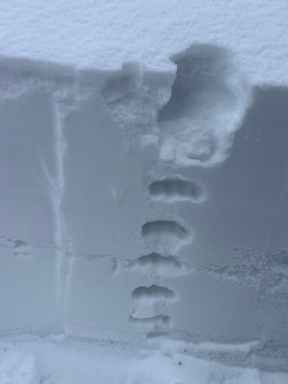 60cm of 4F-F on the crust 1700m