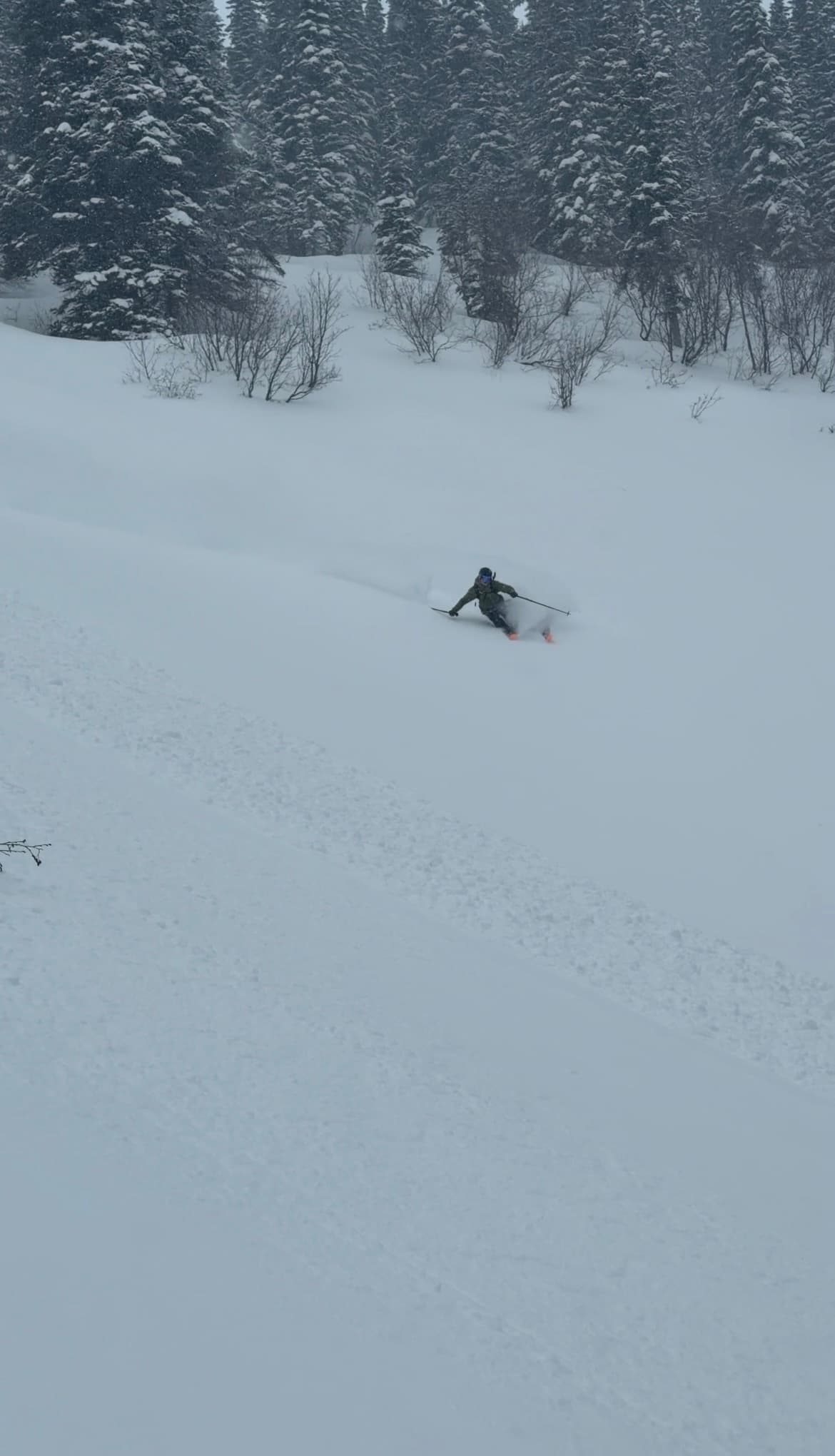 Good skiing!!