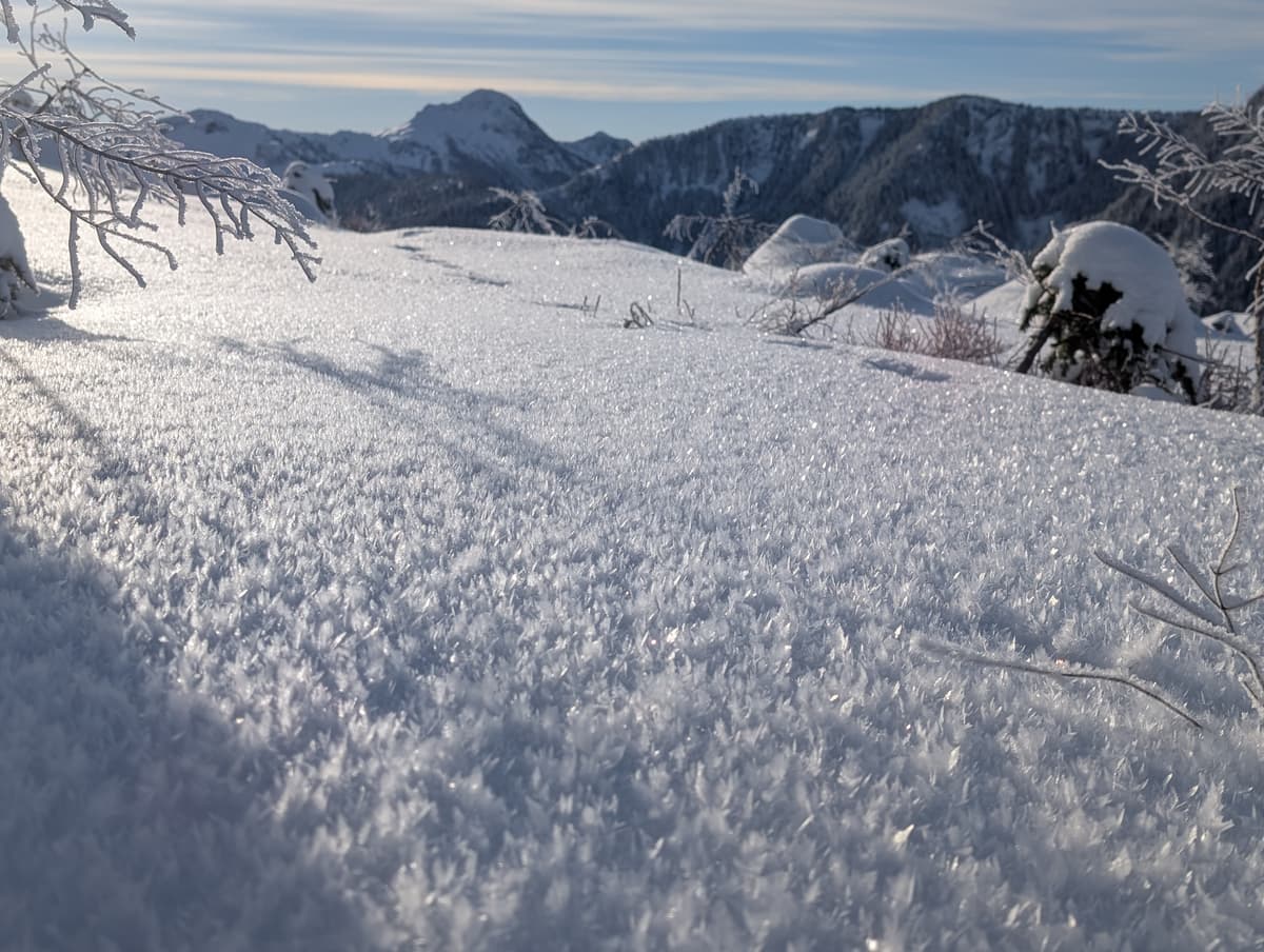 Saturday hoar frost after cold clear night