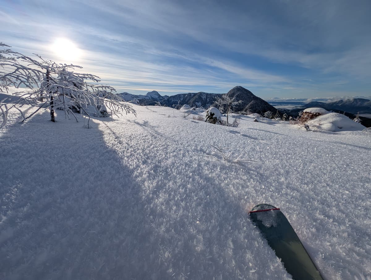 120mm ski tip for reference