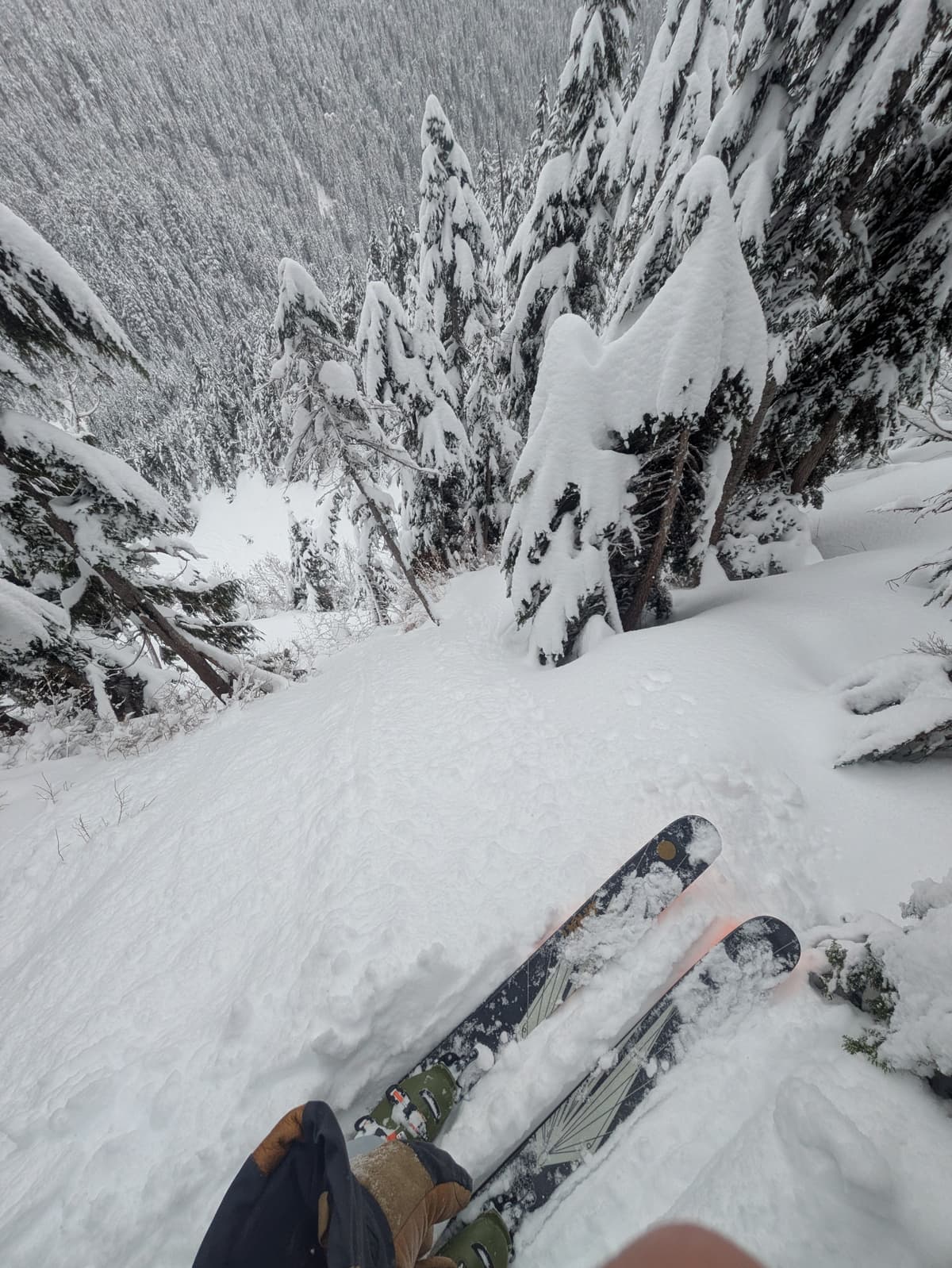 Steep n trees off strachan