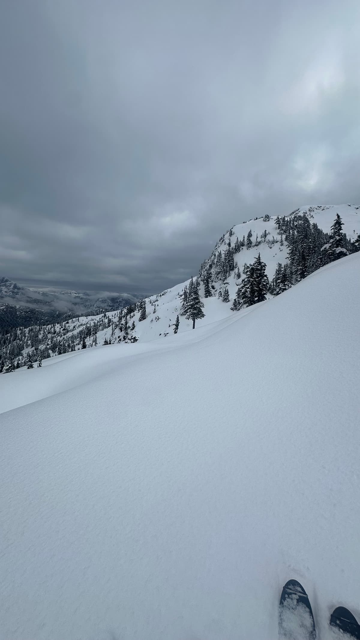 Top of gnarnia