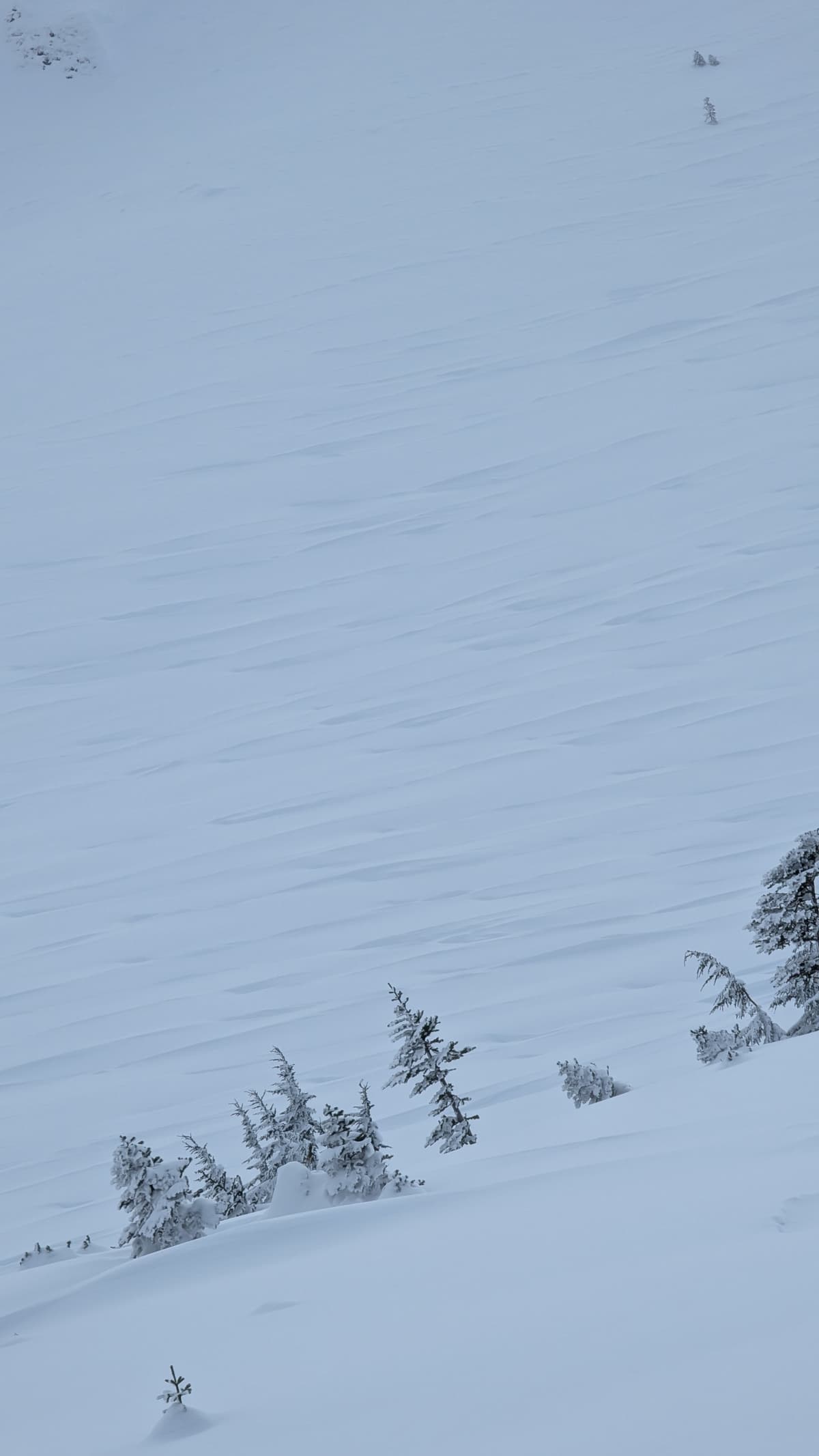 Wind effect at top of north bowl