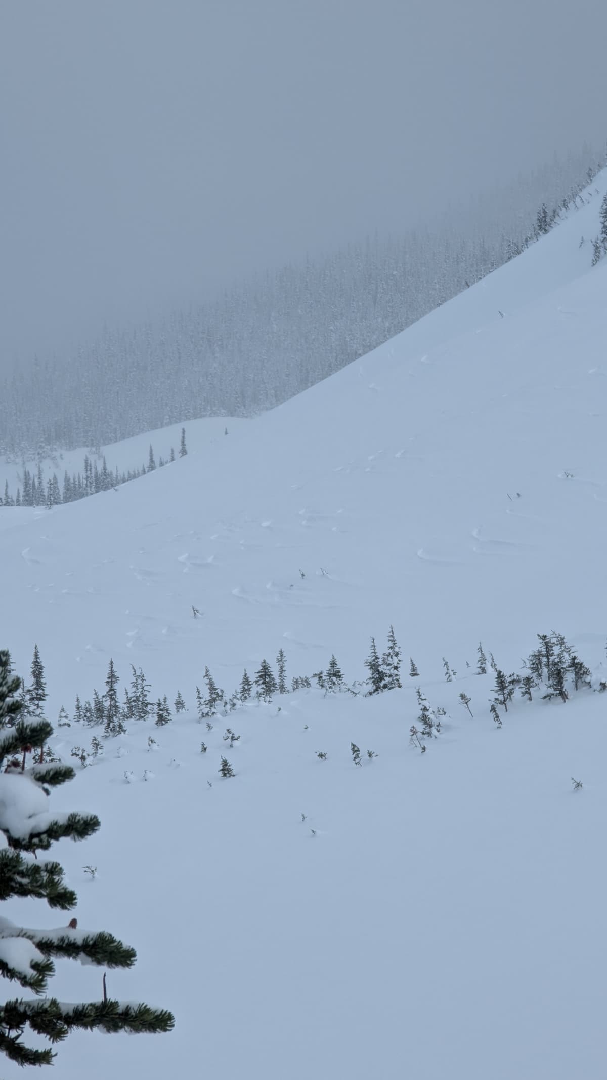 More wind affect starts as you enter bowl