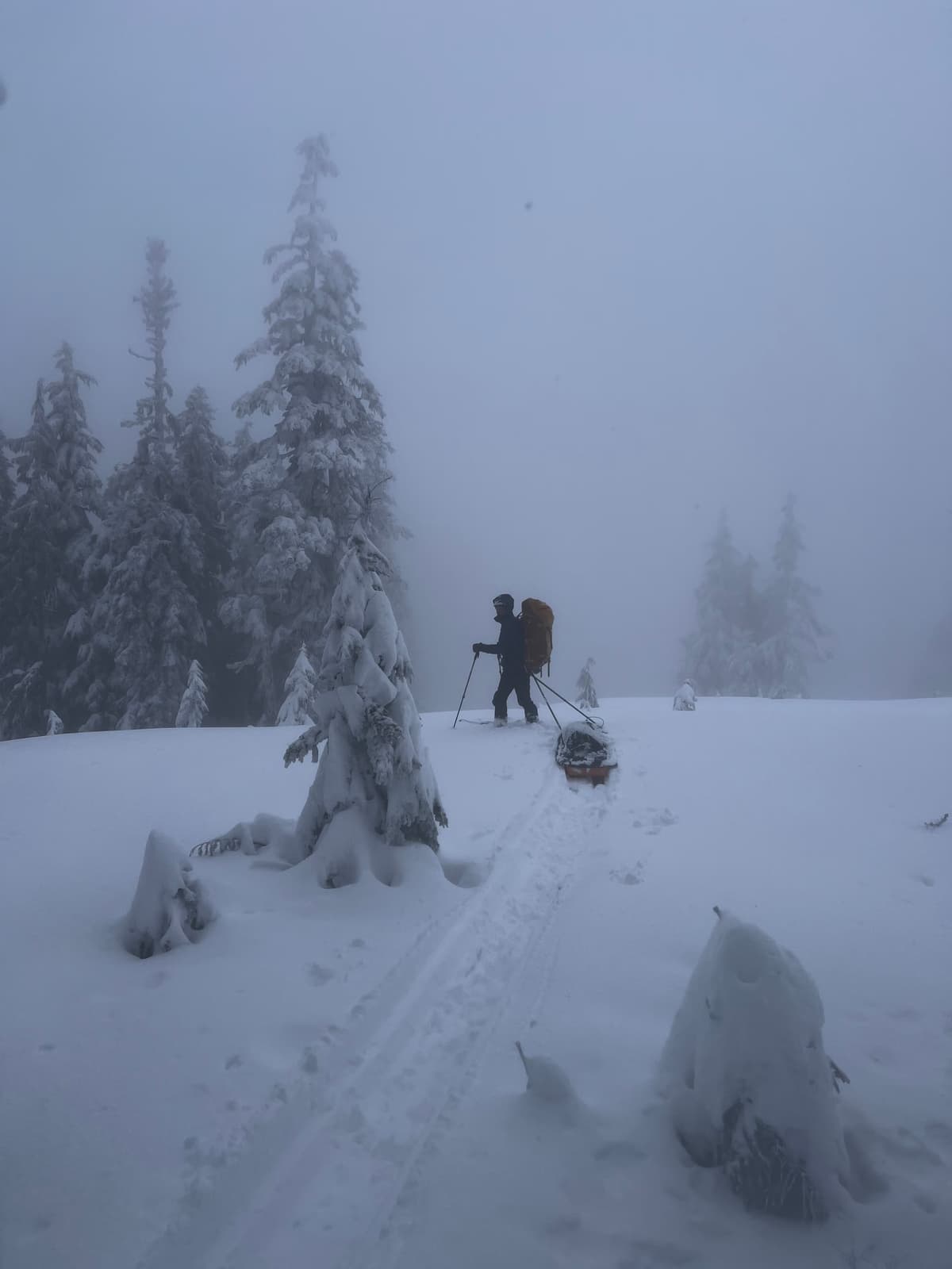 Sledge through Saturday's overnight snow.