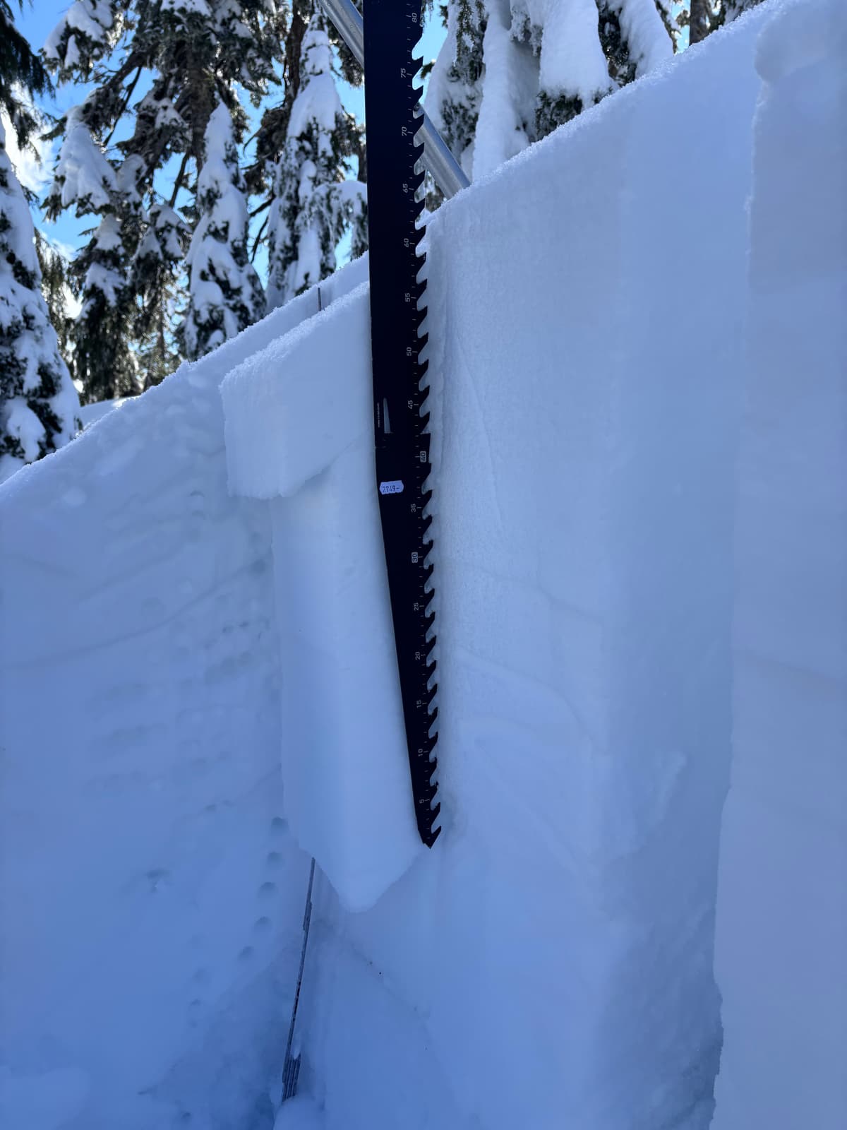 60 cm of storm snow from the weekend, over a 2 cm crust