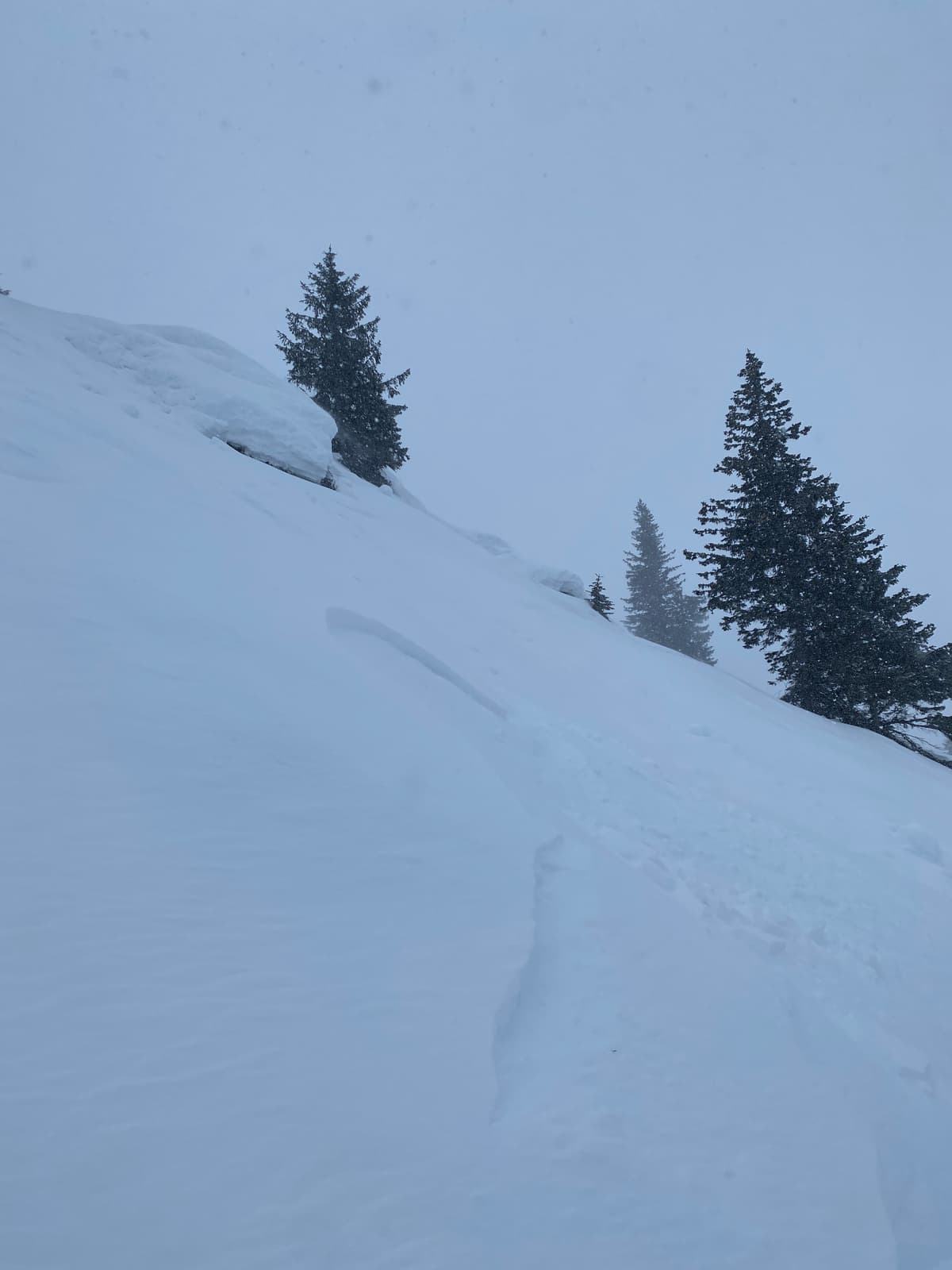 Shooting cracks with small propagation. There isn't enough snow to produce serious slab avalanches in most areas at treeline, but this could change with more snow.