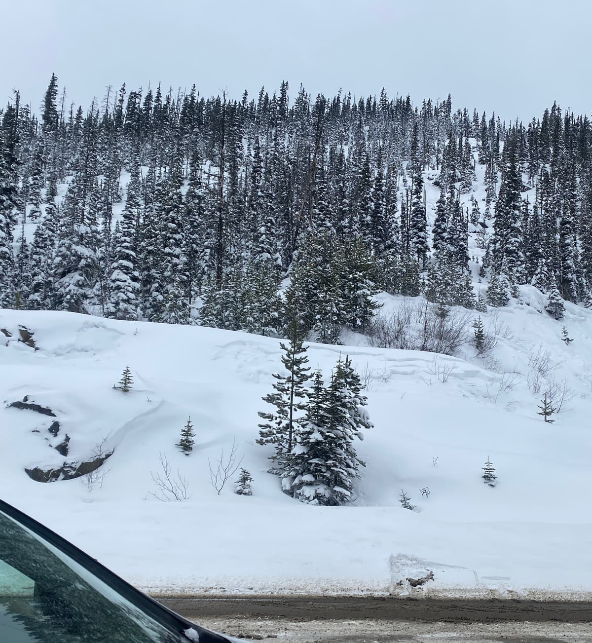Small slabs breaking out all over this terrain by the road