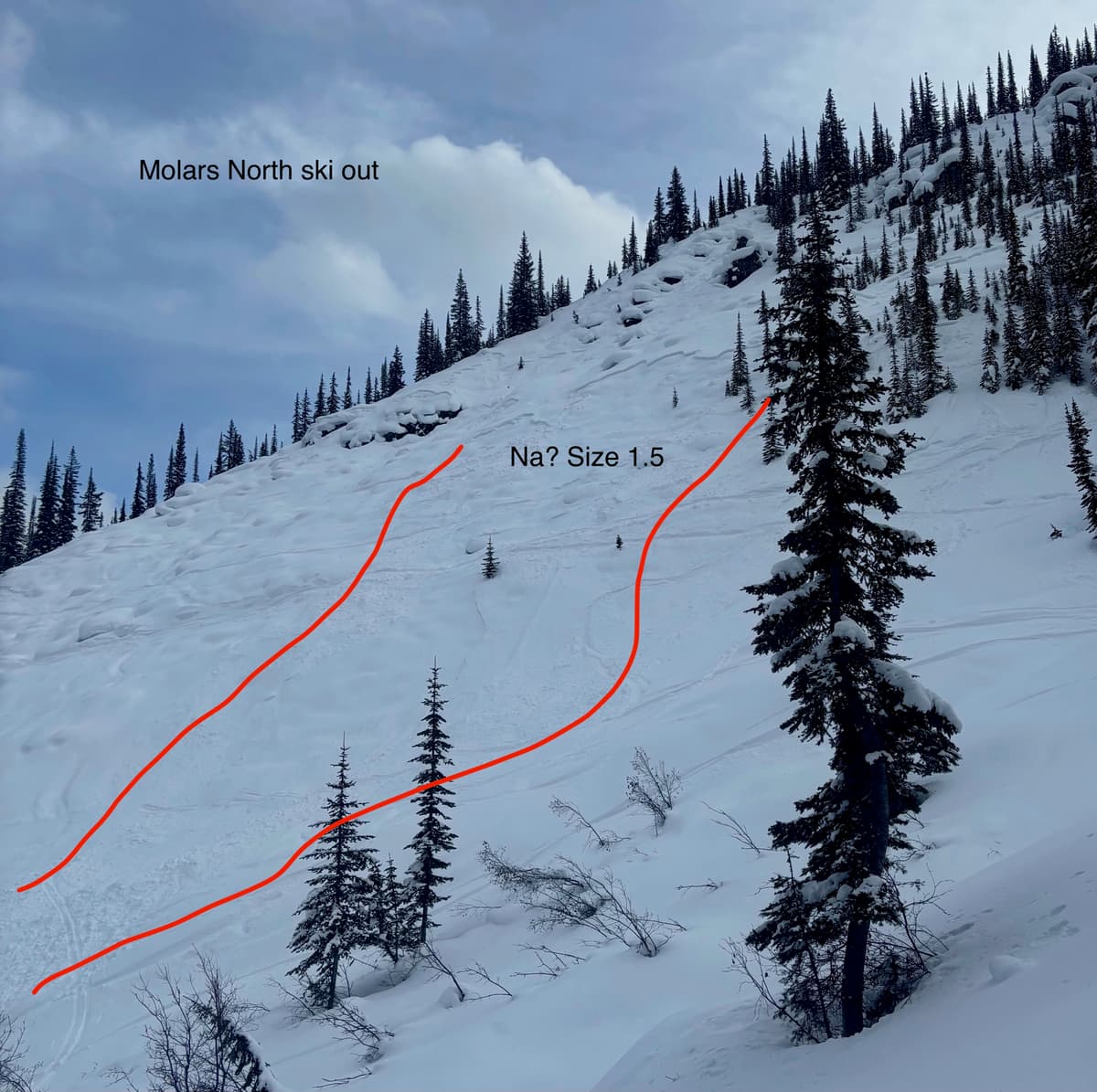 Size 1.5 avalanche failing on Jan 27th above Molars North ski out. Unsure of trigger.