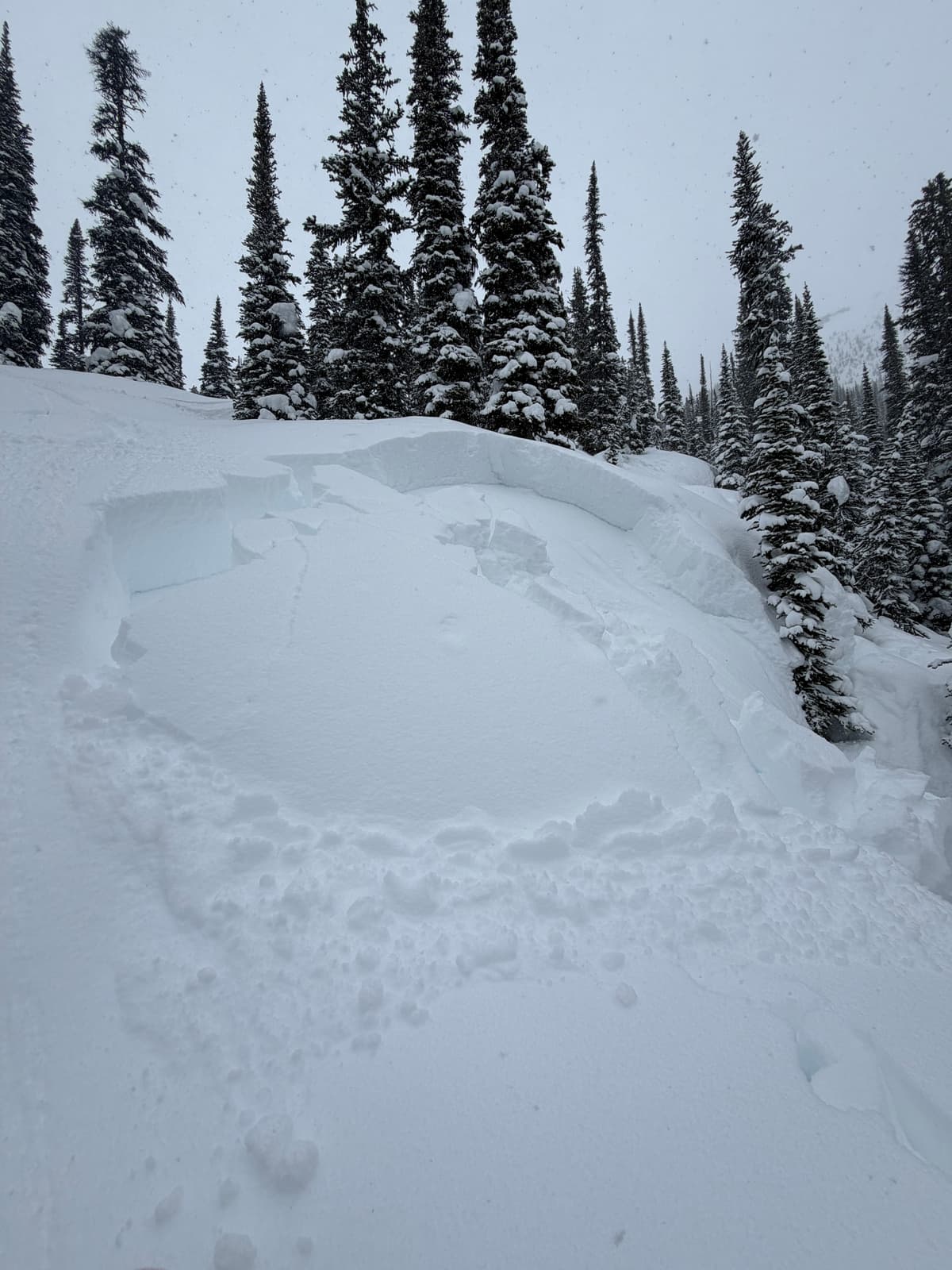 Remote triggered size 1.5, below treeline, east facing, steep rollover, approx 10meters across and 45-50cm deep, triggered from 100 meters above on slope.