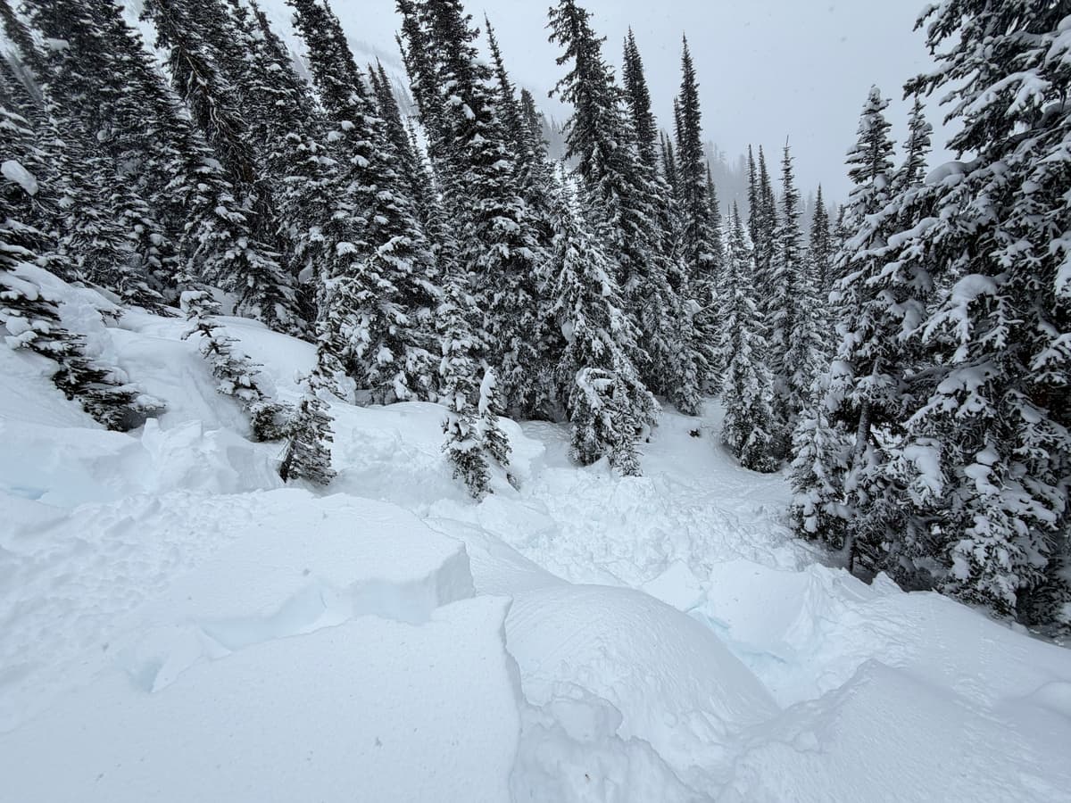Debris from remote slide