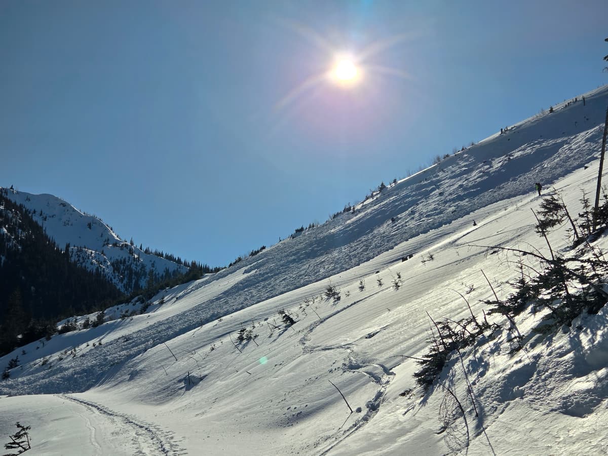 .
Most of the avalanche