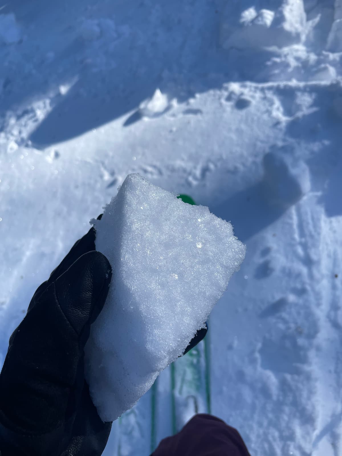 Buried surface hoar from location ~20m upslope from north pit