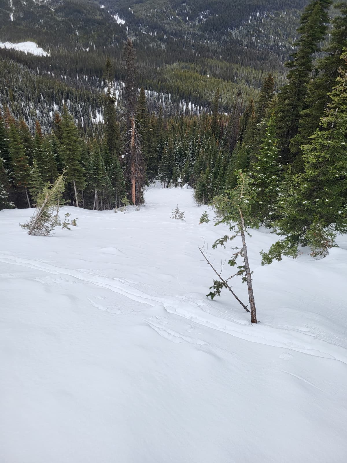 Older wind slab from earlier in the week ran to the bottom.