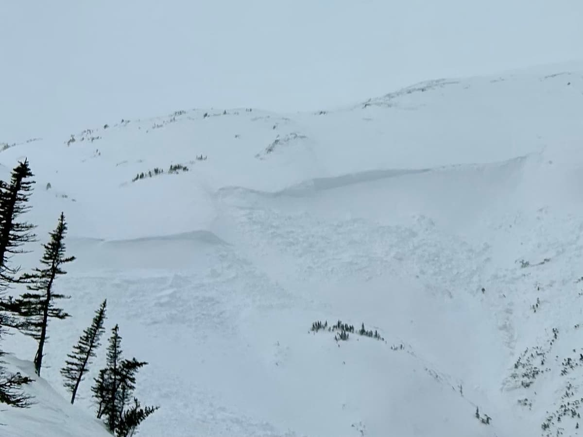 Part of the crown as seen from the Ozone.