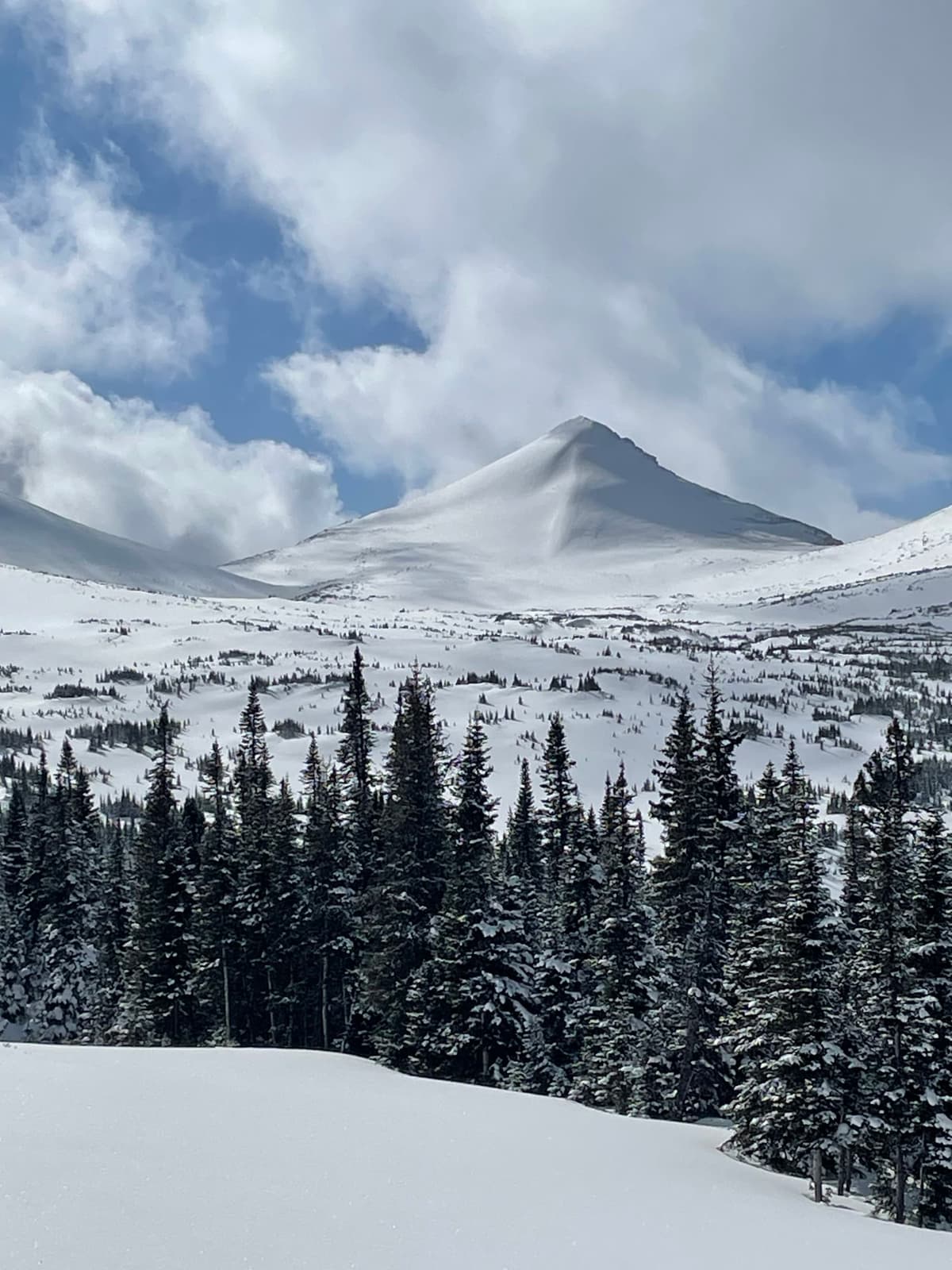 Not much wind in the alpine.