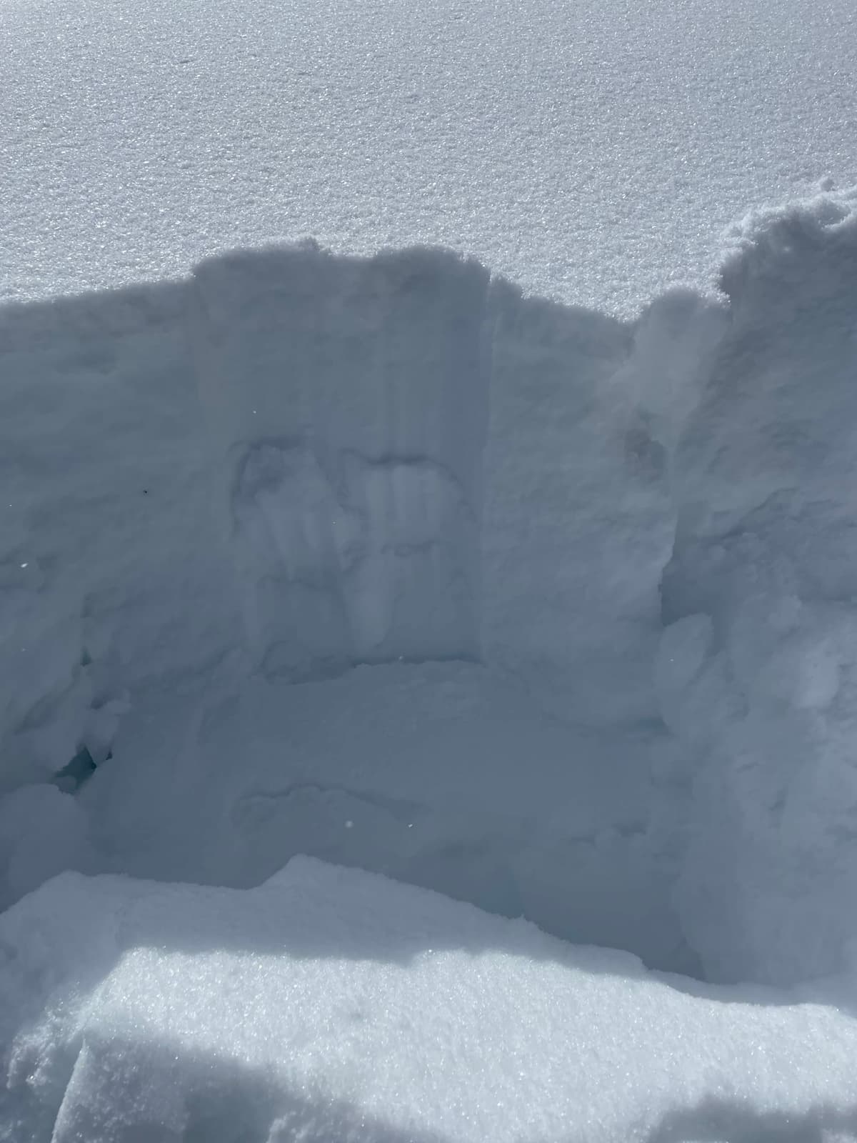Hasty pit showing planar failure surface at 45 cm (hard result on wind crust).