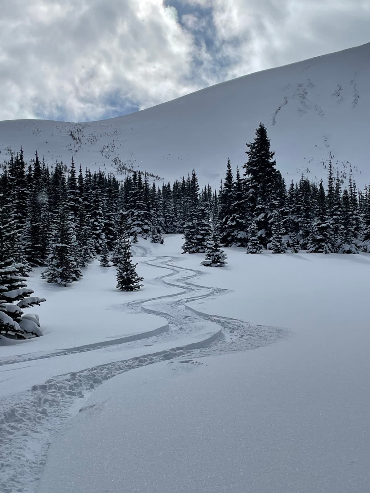 Really good pow on north slopes.