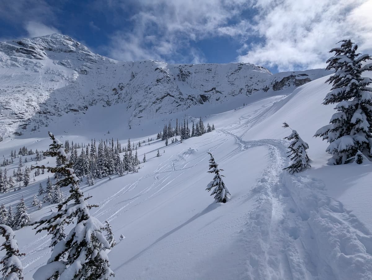 Below Needle