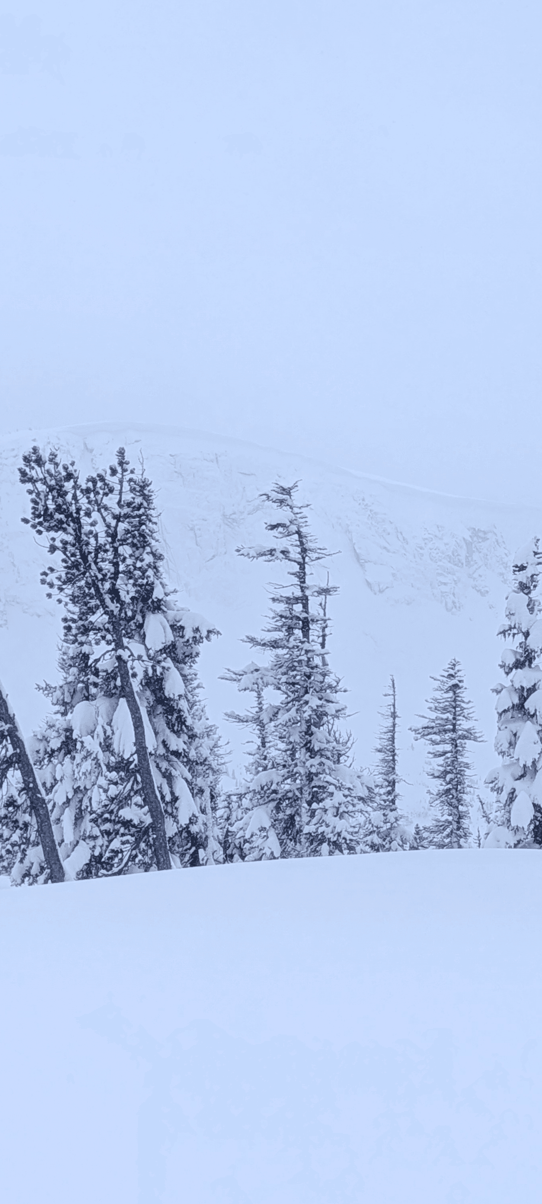 Flatiron E aspect