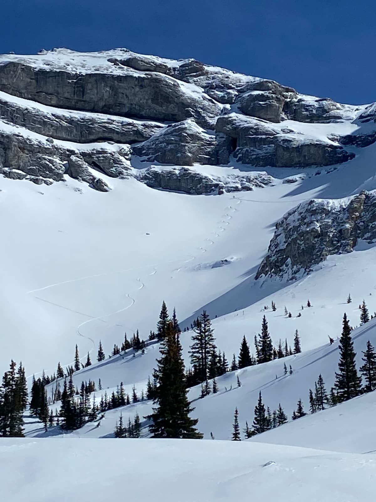 Easy traveling with some deeper pockets of snow for great skiing.
