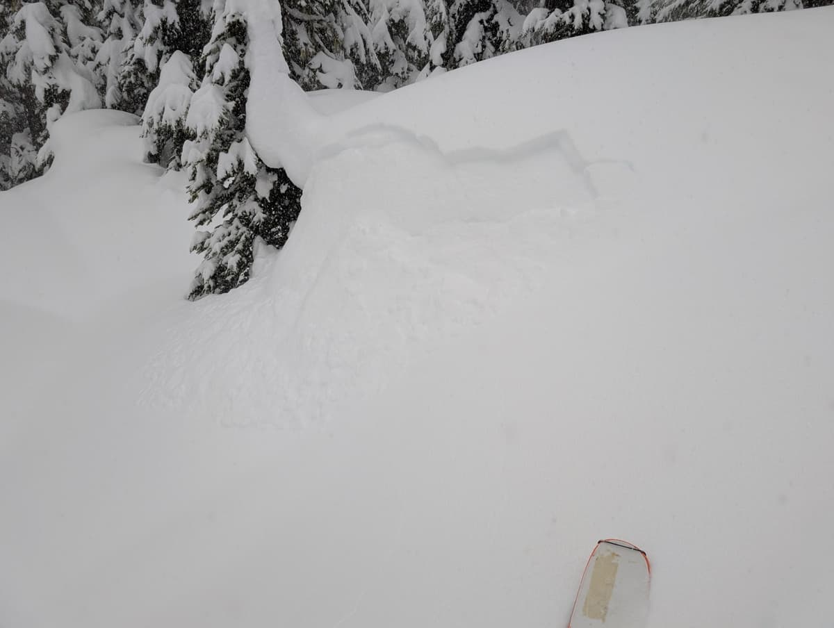 One of a bunch of little remotes as I headed up lookers left of the ski area boundary.
