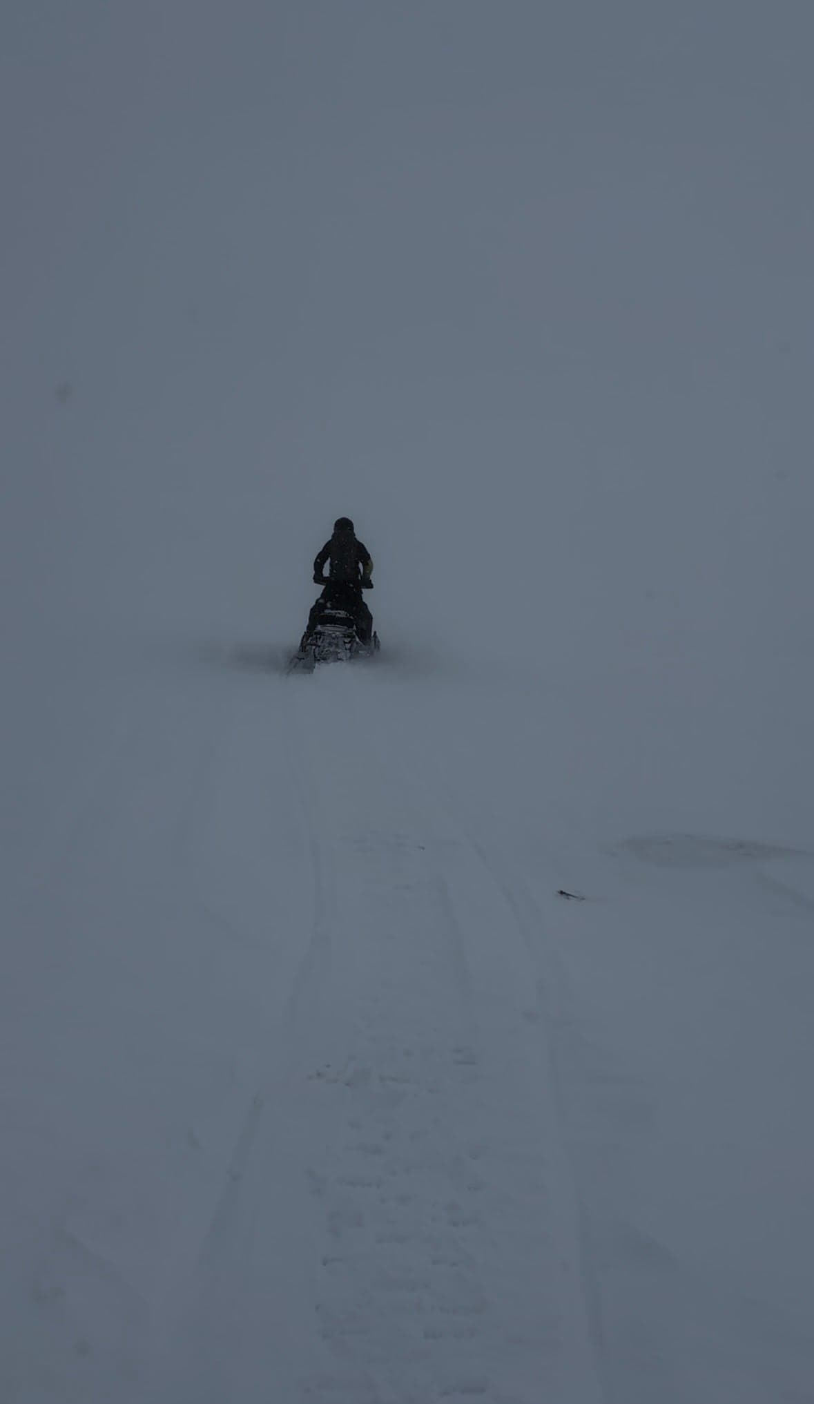 Alpine was wind hammered and white