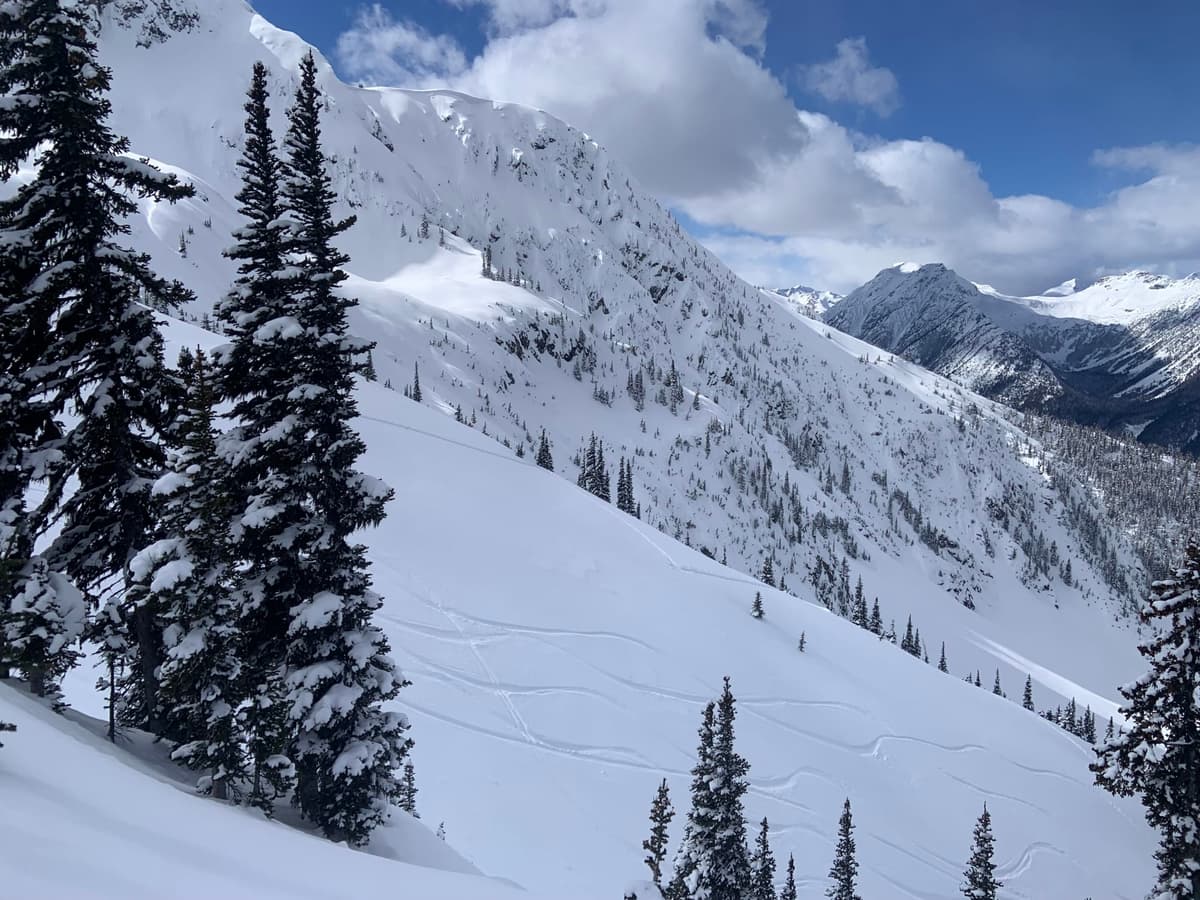 North Bowl had no signs of wind slab March 14/15