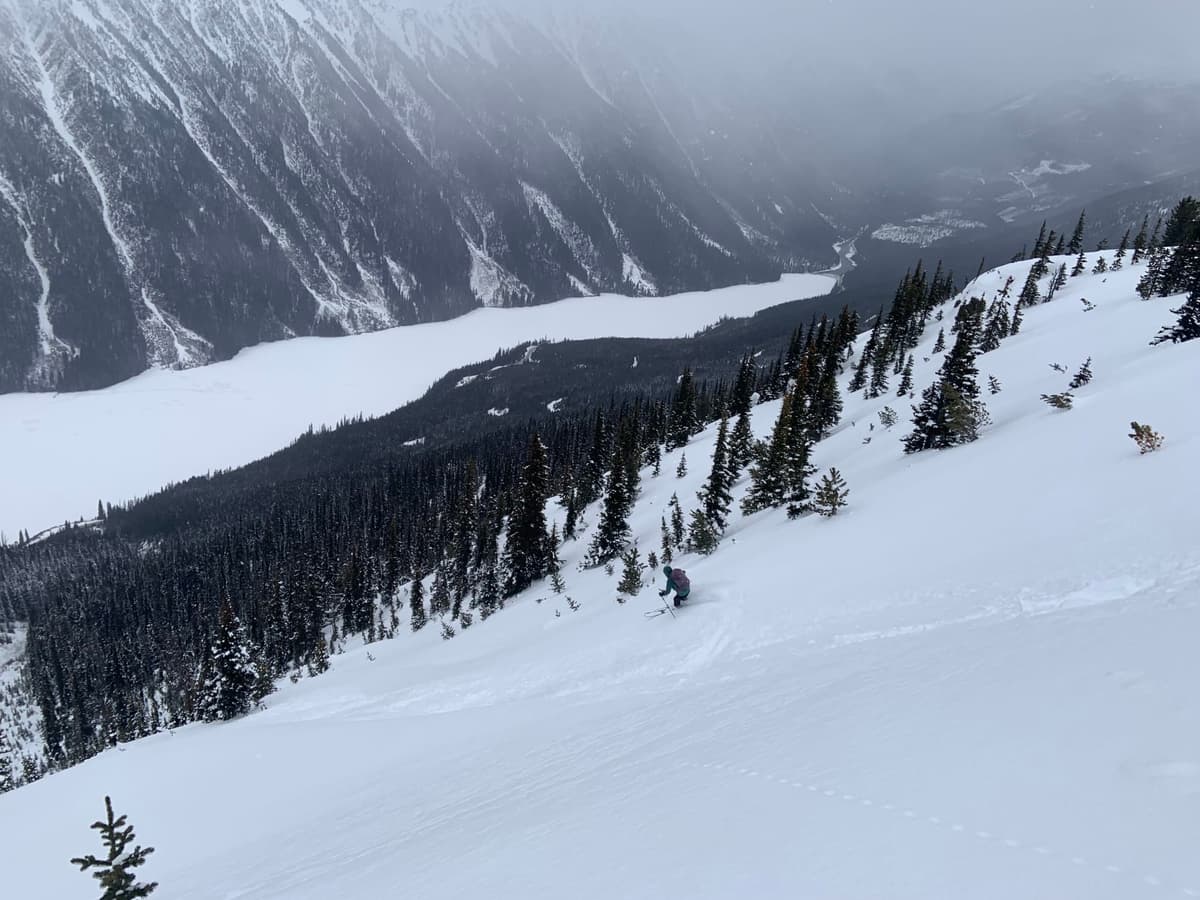 Chute 56 skied well - no wind slab